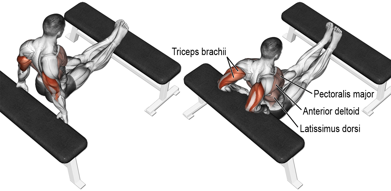 pratimai tricepsui