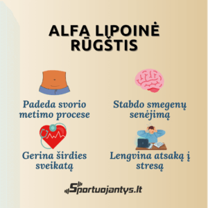 Now Alfa Lipoinė Rūgštis (250mg) Sveikatai 120kaps.