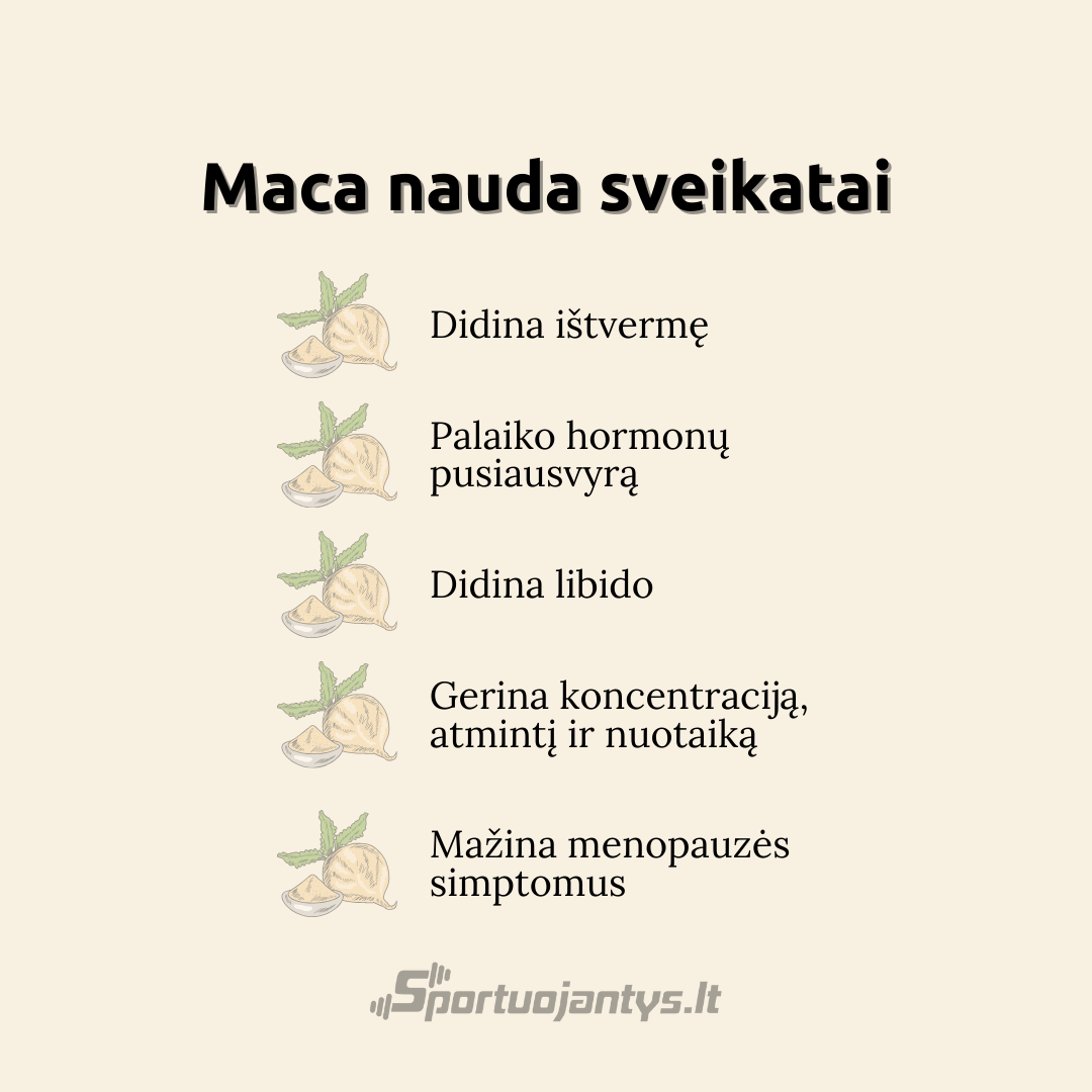 maca nauda sveikatai (1)