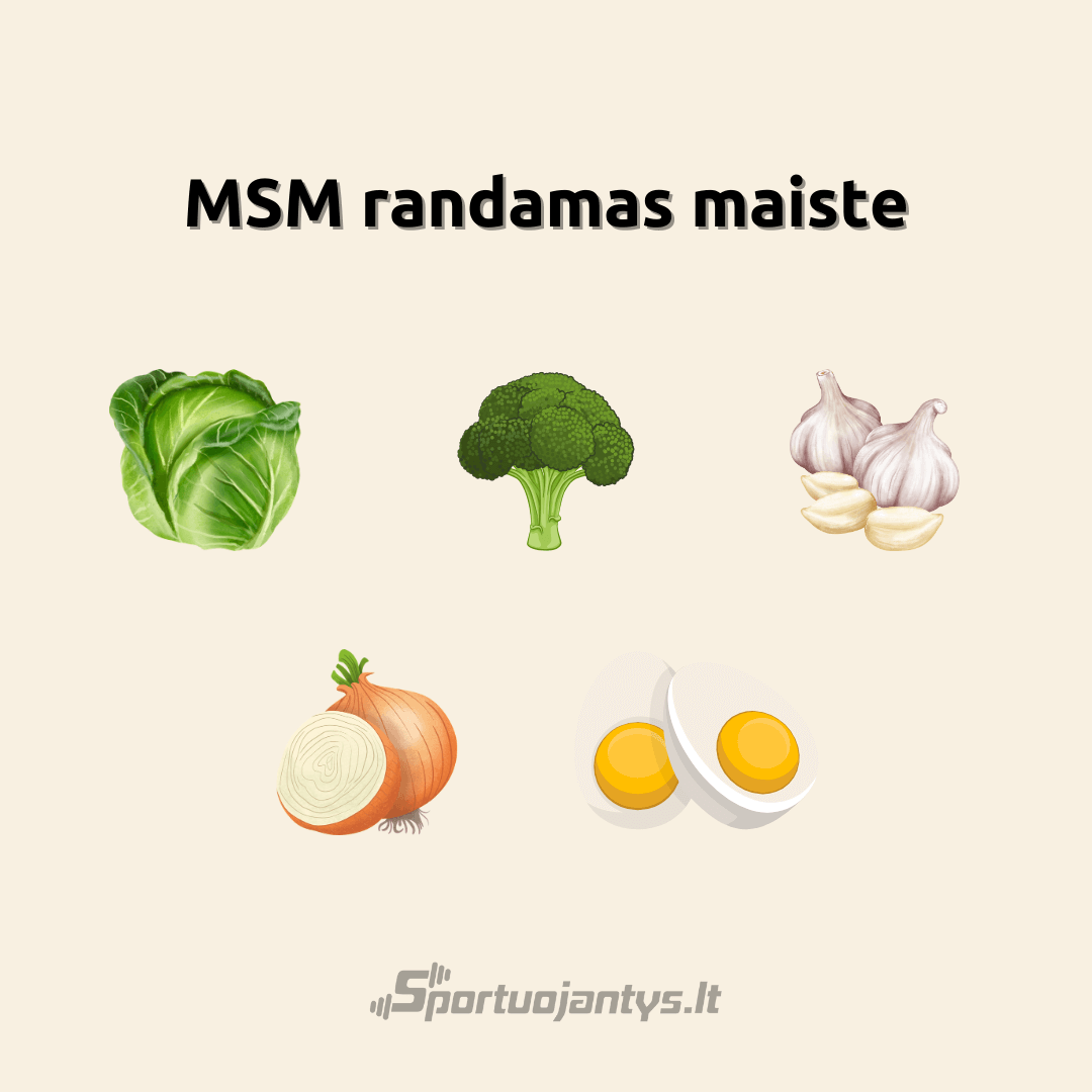 msm maiste