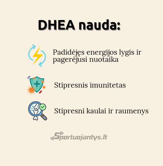 dhea nauda (1)